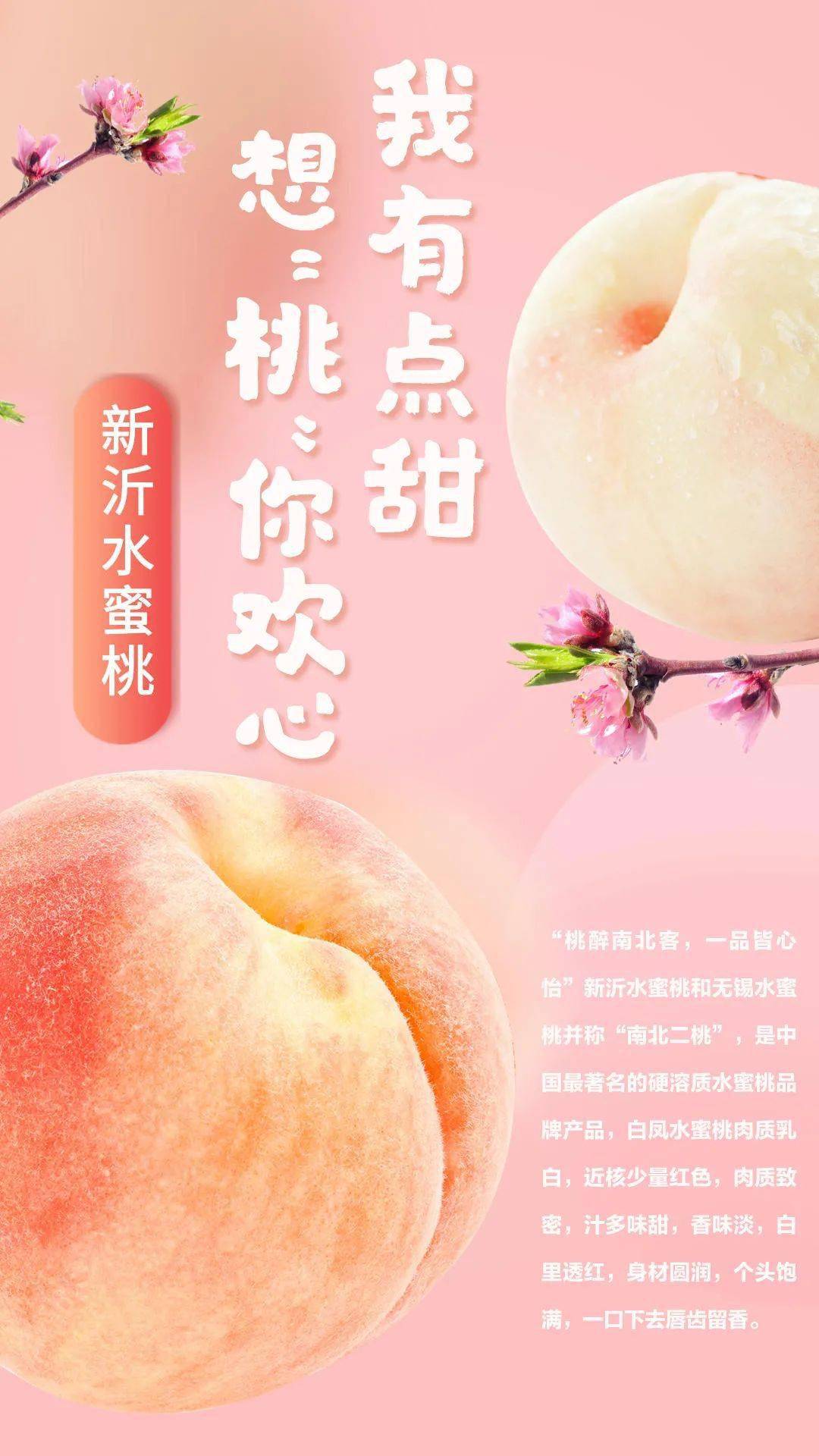 国产精品自产拍在线观看网站 以“星辰视觉”平台为例