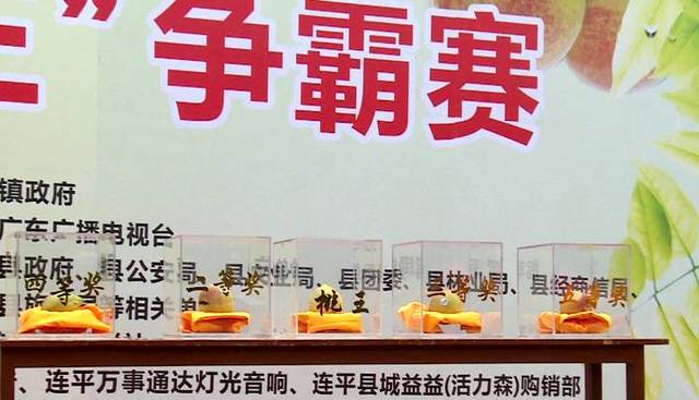 给未成年看鸟 这是看鸟一种极佳的自然教育