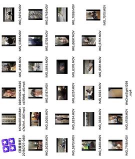 亚洲麻豆精品国偷自产在线91