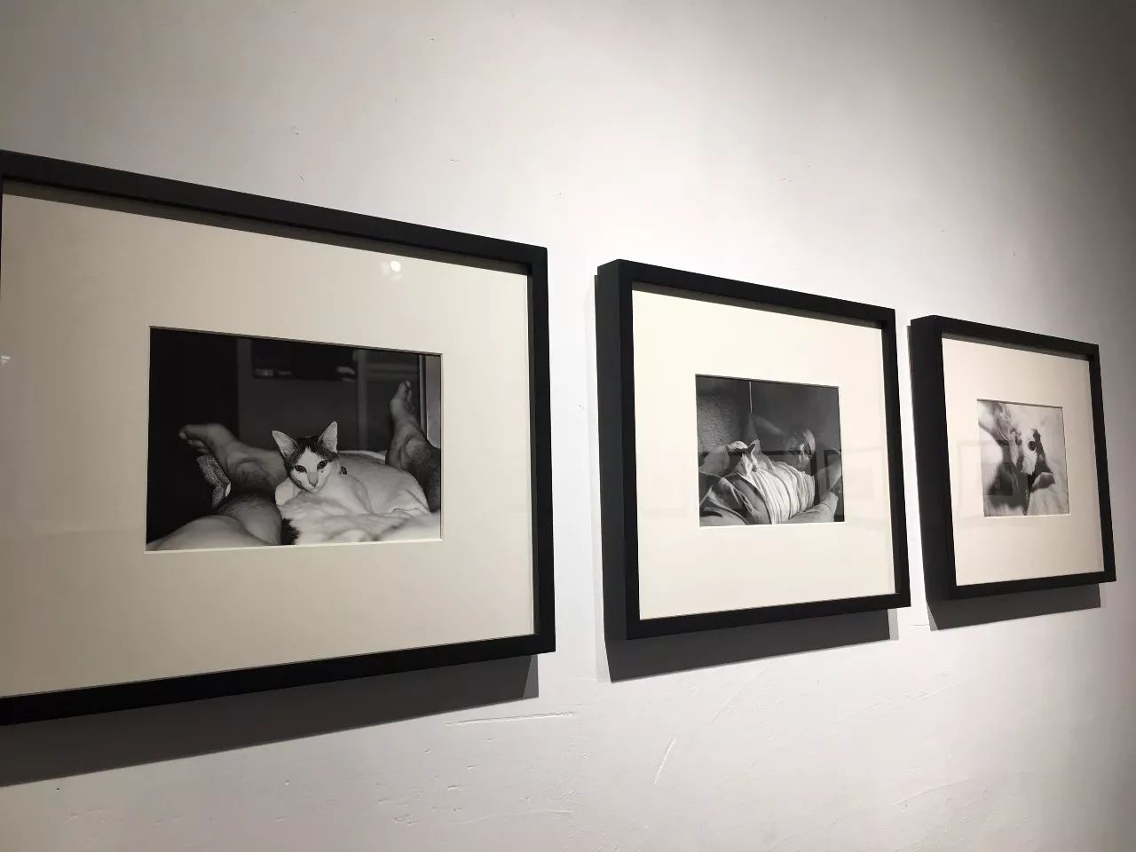 国产福利在 线观看视频