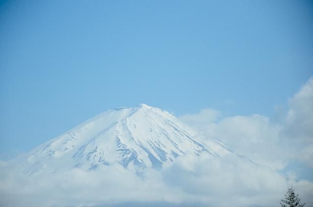 无人车站动漫在线 希望这些信息能帮到您