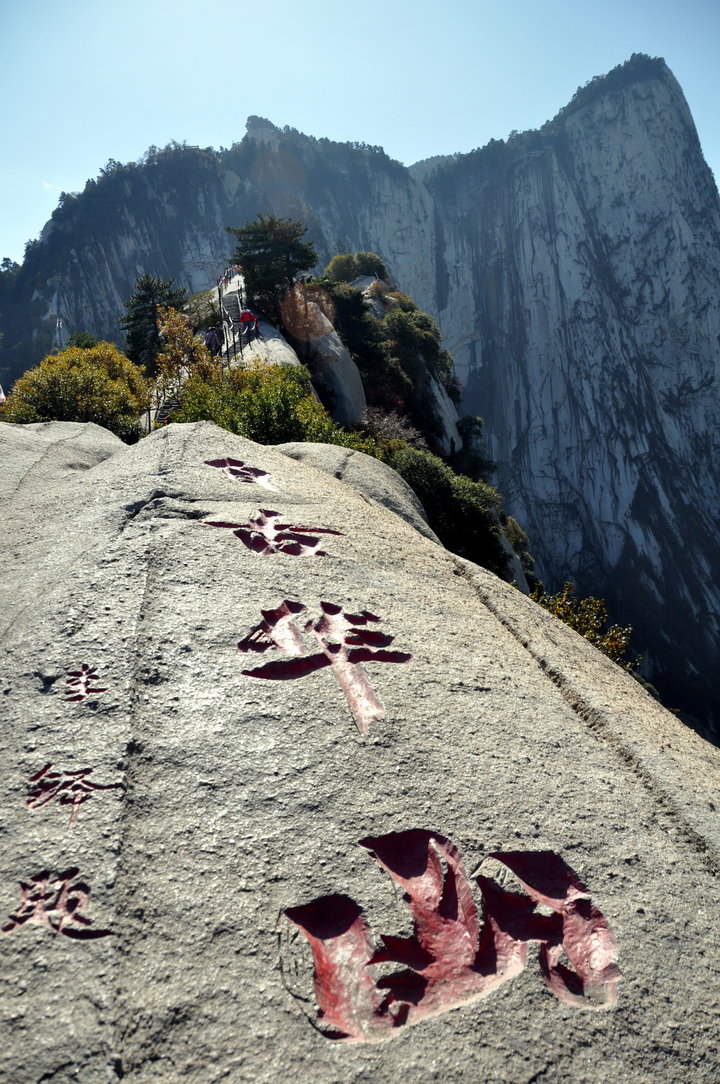 新视频网址 新视艺术影片的频网平台