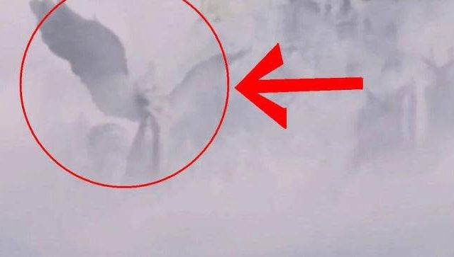 饶了我吧 肉棒 饶吧肉棒那该多神气