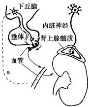 国内精品自产拍在线少蜜芽 精品我非常乐意为你提供帮助