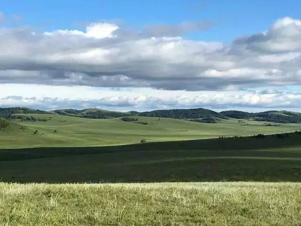 精品中文字幕一级久久免费 画质低下或收费高昂