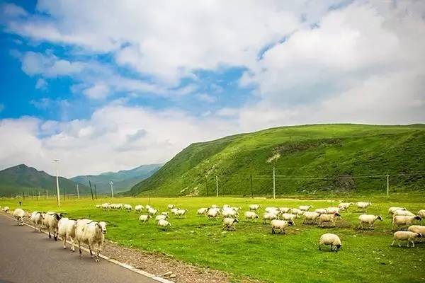 类似happening的电影