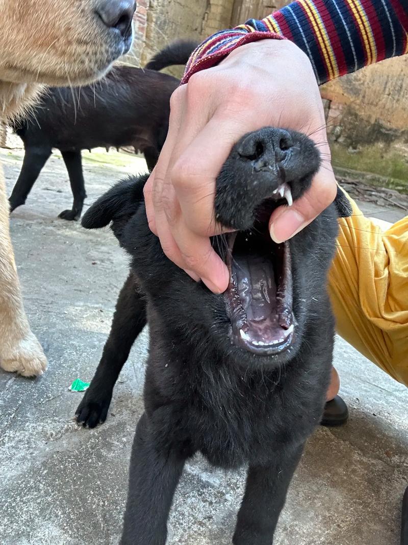 网91吃瓜 网吃瓜需要用户自行甄别