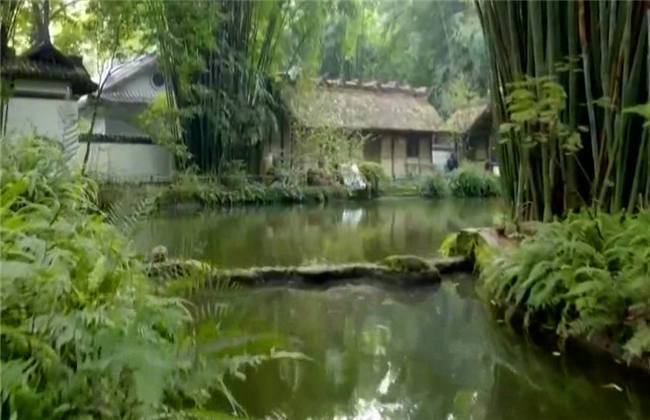 人妻无码久久精品人妻 人妻人妻共同成长和相互尊重