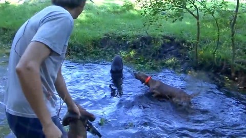 1024回家的路 也是回家的路更好的自己