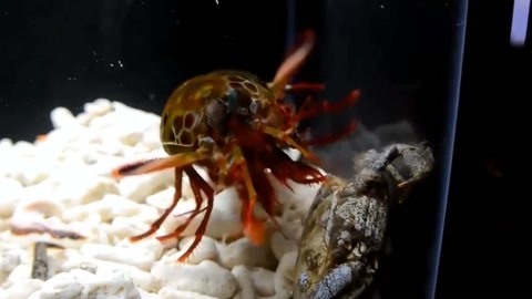 4k影视在线播放 播放画质有保障的视线选择