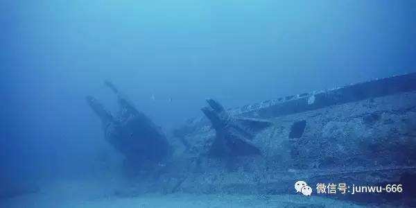 加勒比免费在线