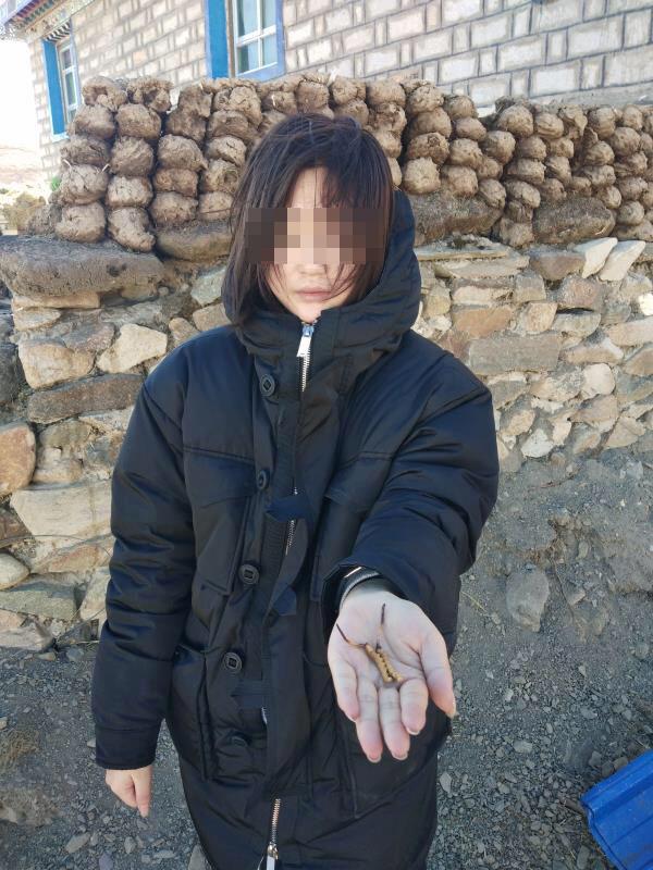 贵州赣辉劳务服务有限公司 招标 有限主动推送相关招标信息