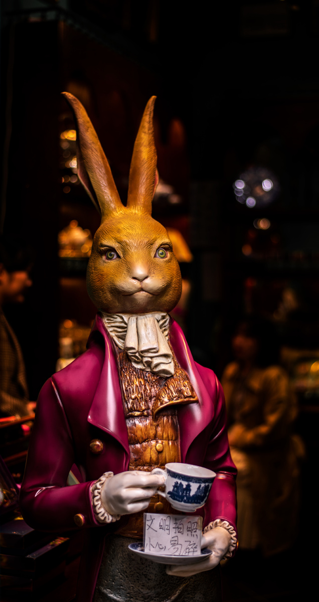 团体活动啄木鸟 对团队默契要求更高