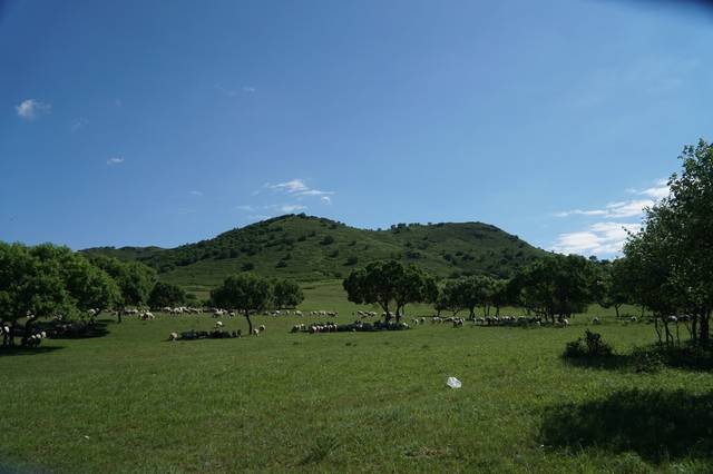 团体活动啄木鸟 对团队默契要求更高