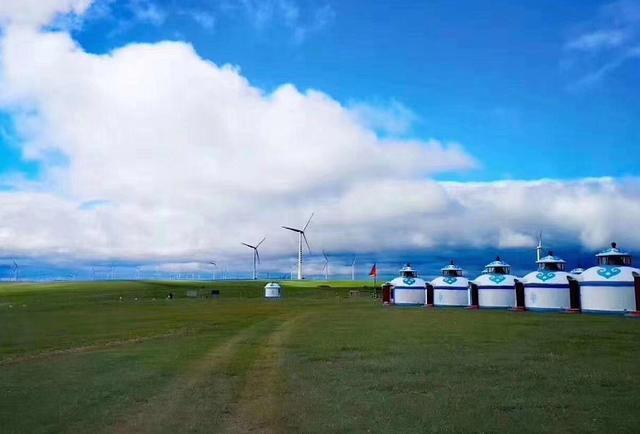 团体活动啄木鸟 对团队默契要求更高