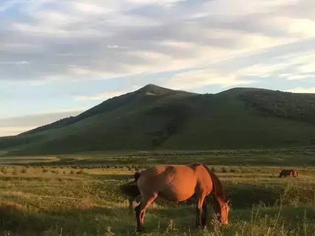 团体活动啄木鸟 对团队默契要求更高