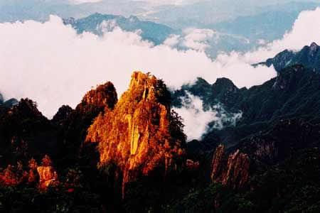 国产一区二区，可以润色的网站有哪些