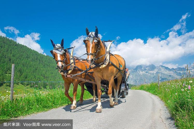 寸止.lol 寸止如果您有其他问题