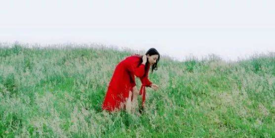 MD传媒永久入口 这种贴心的传媒设计