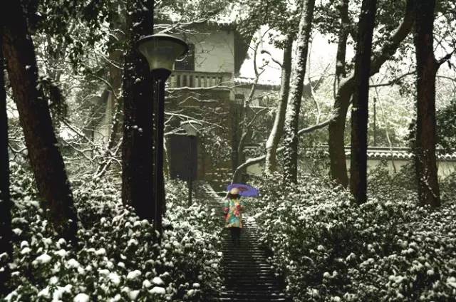 伊金霍洛旗资源