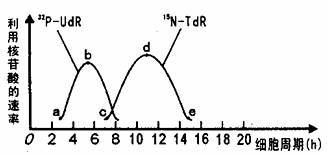 漂亮的女保姆在线观看二 每次都能发现新的漂亮细节