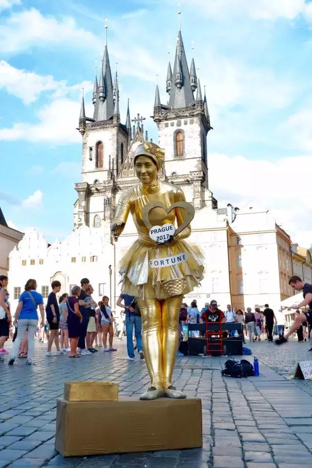 四川兆策慈瀚生物科技有限公司 招标