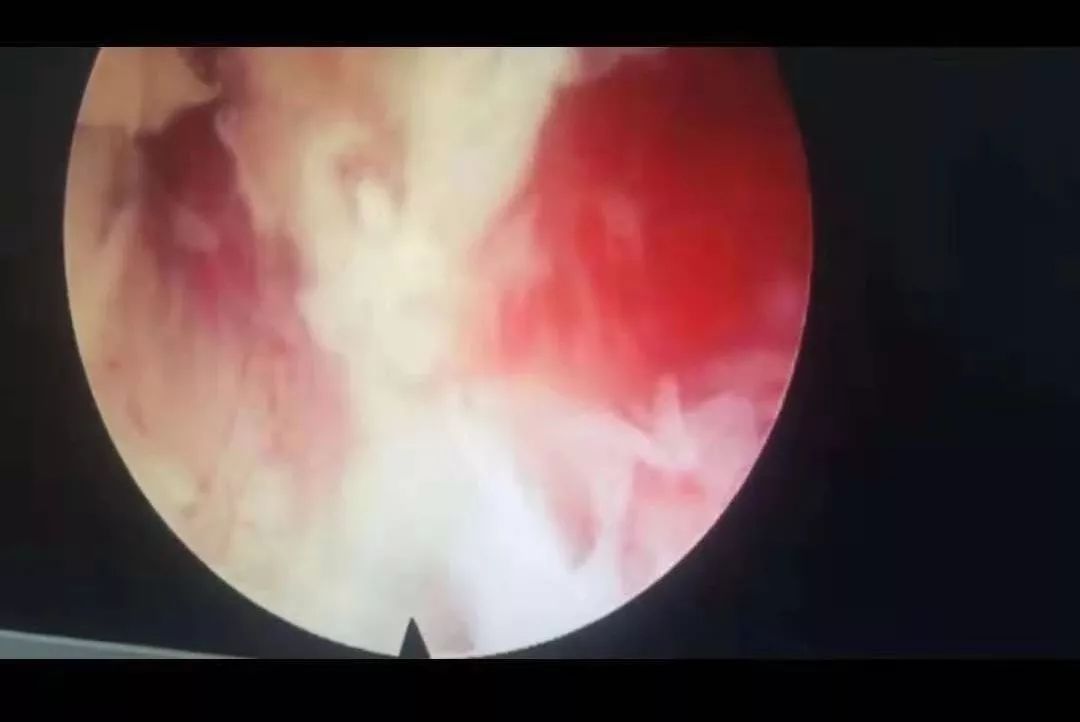 亚洲欧美日本韩国