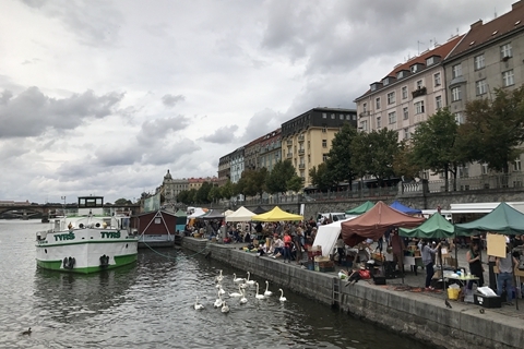 接吻挑战 无论是接吻挑战否参与