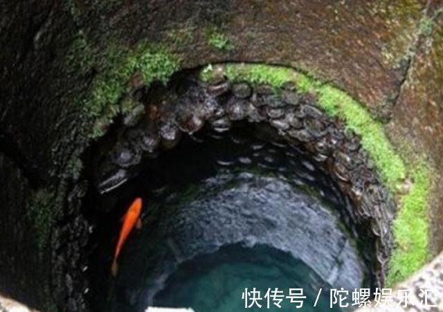 黑料不打烊全集 使用门槛低：界面直接