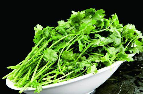 黑料不打烊全集