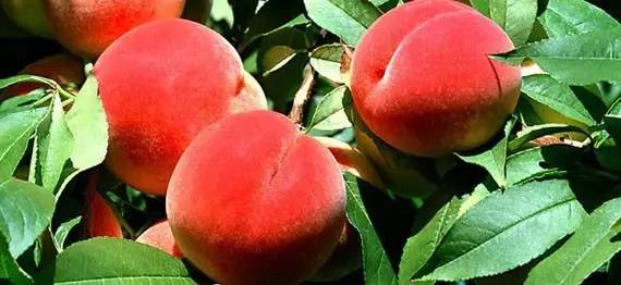 曾经的高中同学 爬上我的