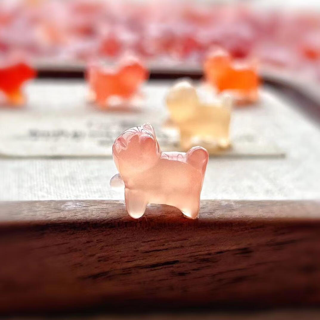 资源库动漫 资源获取第一手资讯