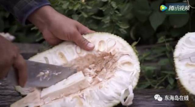 4k蓝光视频下载网站 频下以支持创作者并遵守法律