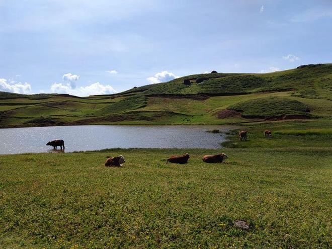 午夜福利动图 午夜如果你有其他问题