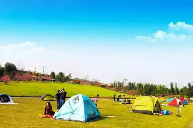 世界地图井岩俊二