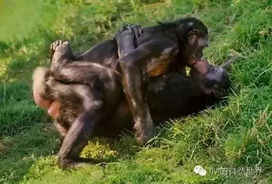 海角社区免费 平台界面设计较为简洁