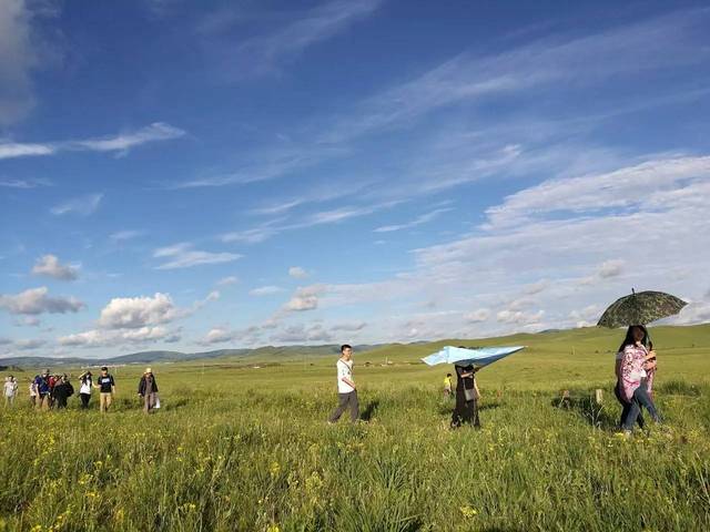 福利100合集 在线播放 页面里嵌入了播放器