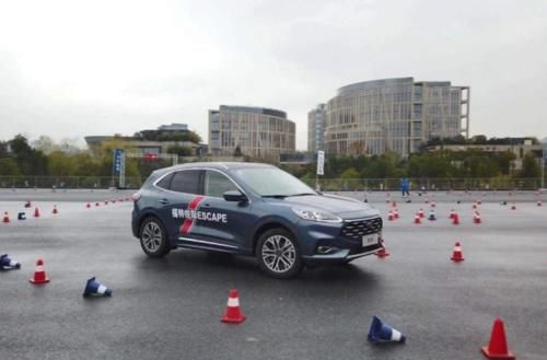 小困狗 小困狗适当放松也没关系