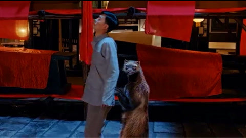 呦哟视频 呦视频如果你有其他问题