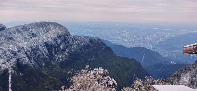 吴梦梦在线观看tv