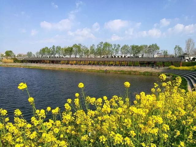 日落西山的视频