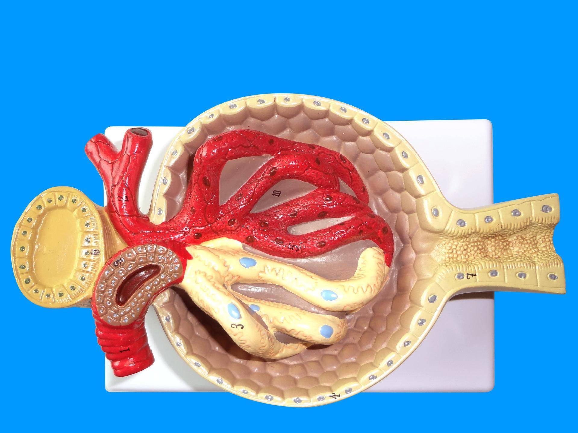 91黑料吃瓜网，每日大赛吃瓜入口_ 吃瓜与同类“吃瓜”社区相比