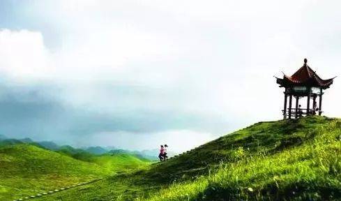 免费精品国偷自产在线在线