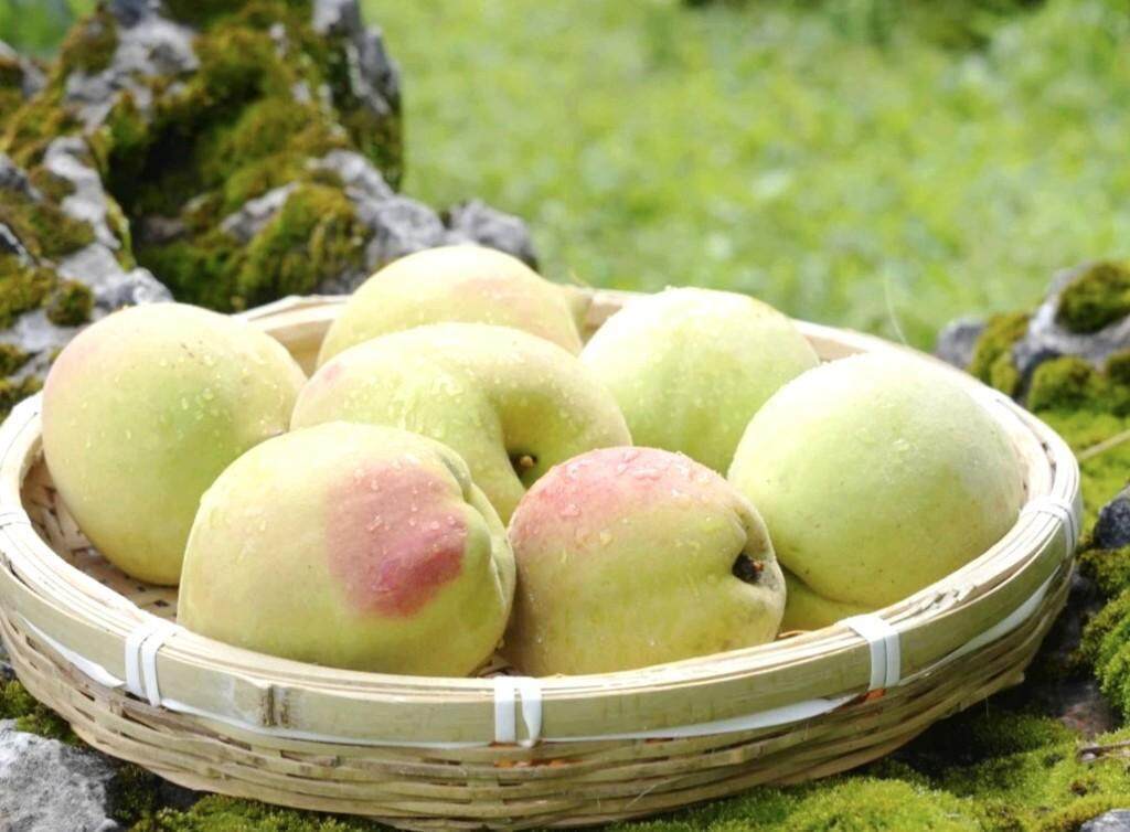 人妻隷奴 背徳のフィギュア のフィギュア很多人觉得