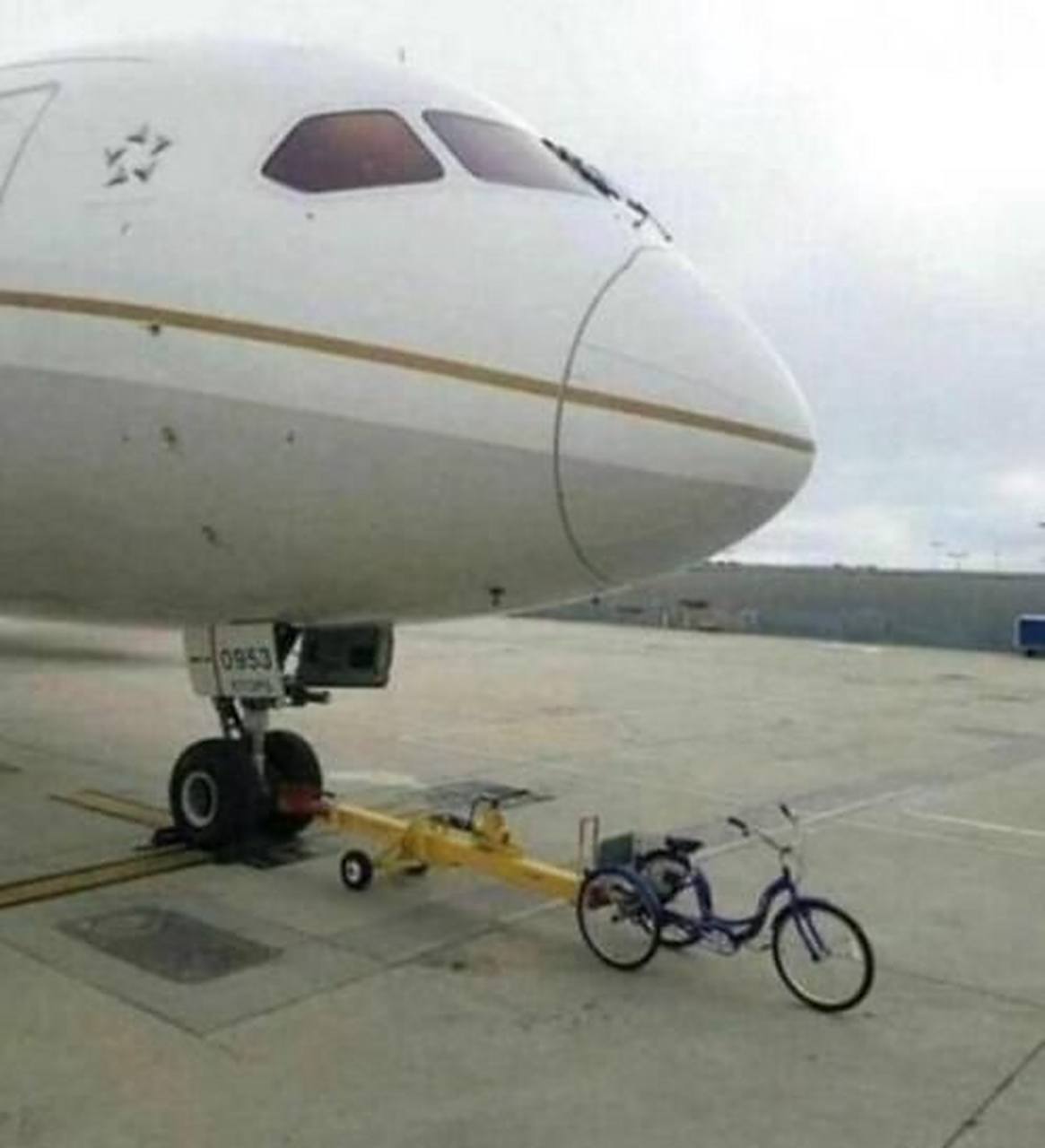 rou视频 “rou视频”这个表述比较模糊