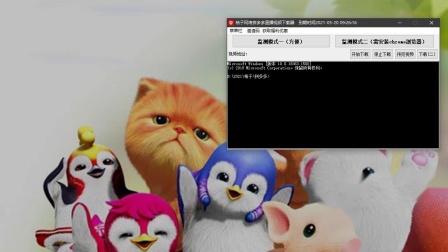 猫先生千人斩之我的小宝贝终于毕业了