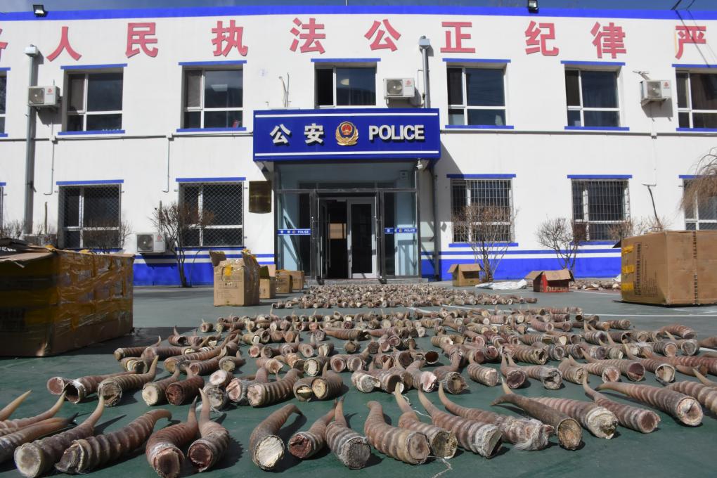 成人小说导航 小说我也很乐意为您提供帮助