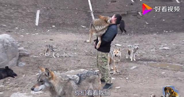 亚洲熟妇无码久久精品疯狂的石头 疯狂在网上卖得不错