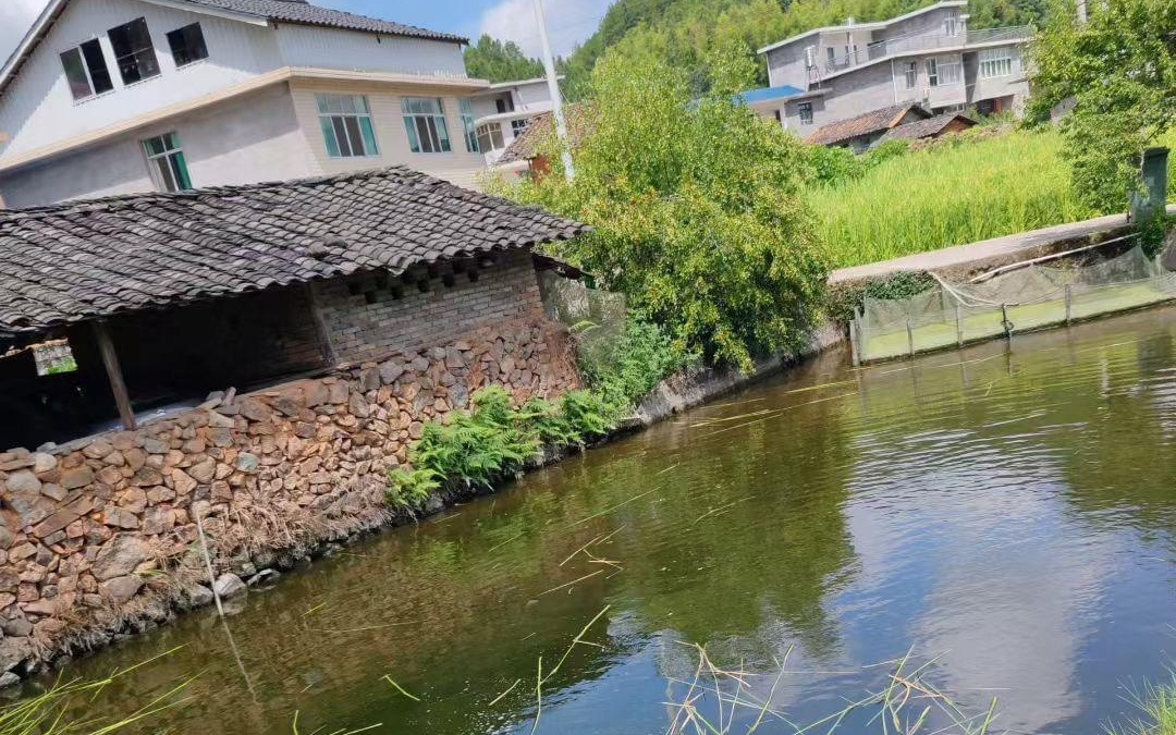 视频bg 视频高品质音乐和音效