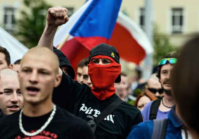 困困狗第一视角 人类管这叫“栅栏”